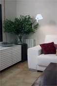 Showhouse apartment - linving room