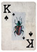 K de picas