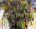 Copa de palmera II