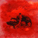Toro 17