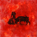 Toro 3