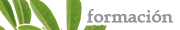 Formaci&oacute;n